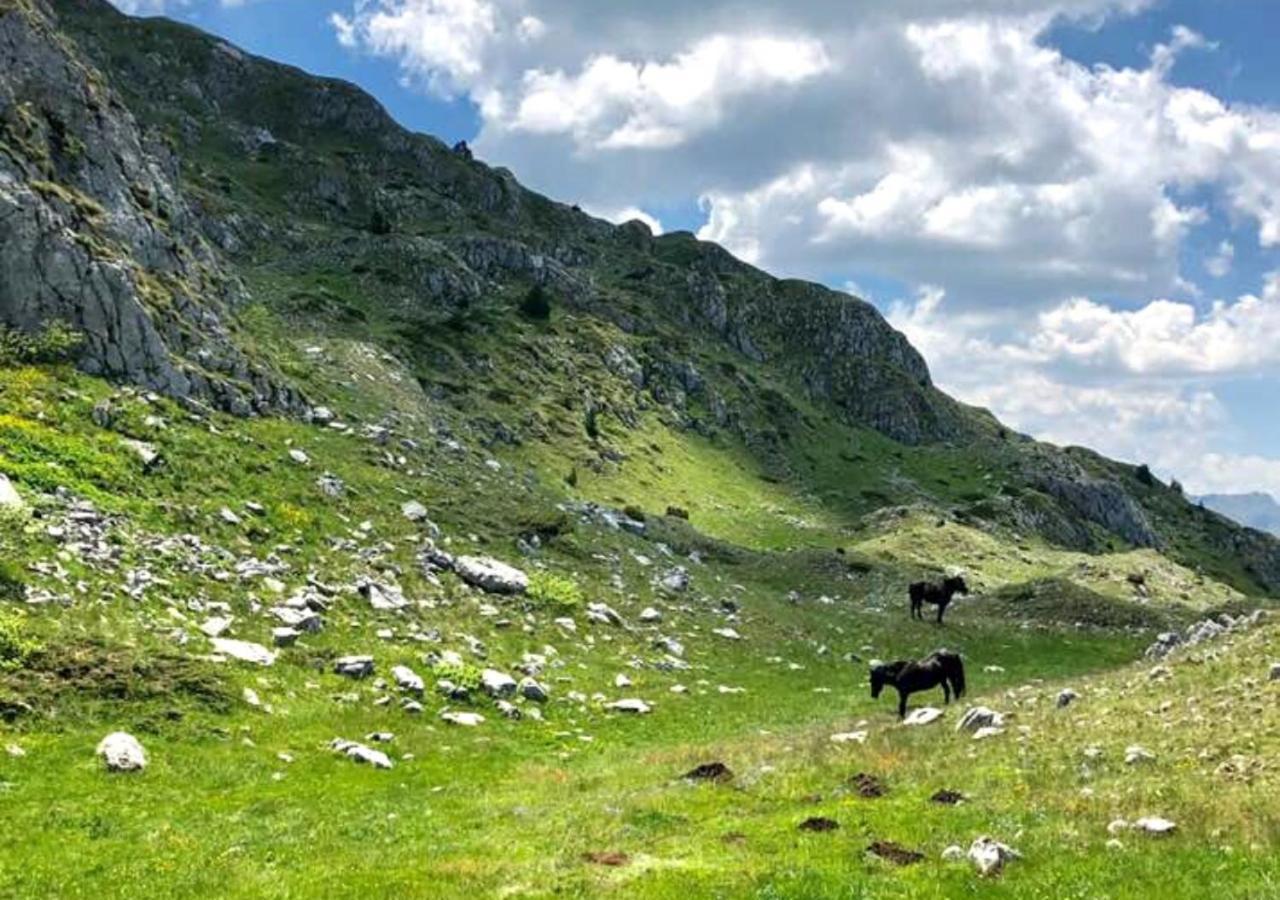 Katun Kuline Apartment Kolasin Bagian luar foto