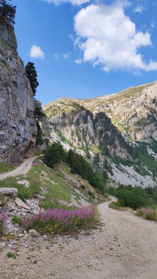 Katun Kuline Apartment Kolasin Bagian luar foto